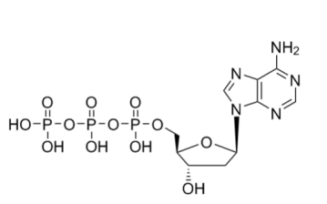 2'-脱氧腺苷 5'-三磷酸酯,2'-Deoxyadenosine 5'-triphosphate
