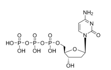 2'-脱氧胞苷三磷酸,2'-DEOXY-CYTIDINE-5'-TRIPHOSPHATE LITHIUM SALT