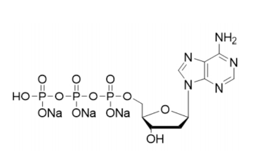 2'-脱氧腺苷-5'-三磷酸三钠盐,2'-Deoxyadenosine-5'-triphosphate, trisodiuM salt