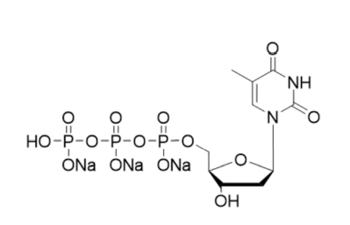 胸苷-5'-三磷酸三钠盐,thymidine 5'-(trisodium hydrogen triphosphate)