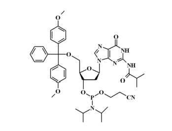 5'-O-(4,4-二甲氧基三苯甲基)-N-异丁酰基-2'-脱氧鸟苷-3'-(2-氰基乙基-N,N-二异丙基)亚磷酰胺,5'-O-(4,4'-DIMETHOXYTRITYL)-N2-ISOBUTYRYL-2'-DEOXYGUANOSINE-3'-(2-CYANOETHYL-N,N-DIISOPROPYL)PHOSPHORAMIDITE