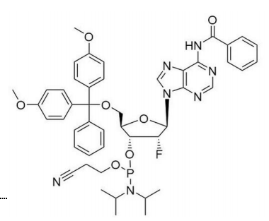 N-苯甲酰基-5'-O-[二(4-甲氧基苯基)苯基甲基]-2'-脱氧-2'-氟腺苷 3'-[2-氰基乙基 N,N-二异丙基氨基亚磷酸酯],N-Benzoyl-5'-O-[bis(4-methoxyphenyl)phenylmethyl]-2'-deoxy-2'-fluoroadenosine 3'-[2-cyanoethyl N,N-bis(1-methylethyl)phosphoramidite]