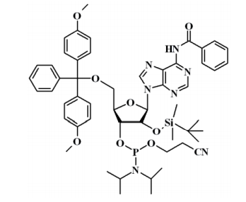 N-苯甲酰基-5'-O-(4,4-二甲氧基三苯甲基)-2'-O-[(叔丁基)二甲基硅基]腺苷-3'-(2-氰基乙基-N,N-二异丙基)亚磷酰胺,N-Benzoyl-5'-O-(4,4-Dimethoxytrityl)-2'-O-[(tert-butyl)dimethylsilyl]adenosine-3'-(2-cyanoethyl-N,N-diisopropyl)phosphoramidite