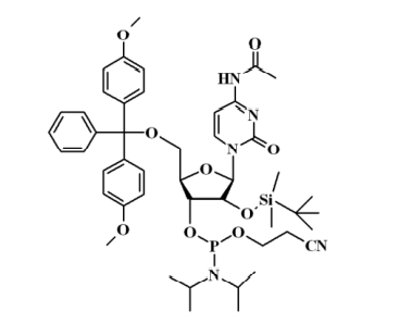 N-乙酰基-5'-O-(4,4-二甲氧基三苯甲基)-2'-O-[(叔丁基)二甲基硅基]胞苷-3'-(2-氰基乙基-N,N-二异丙基)亚磷酰胺,N-Acetyl-5'-O-(4,4-dimethoxytrityl)-2'-O-[(tert-butyl)dimethylsilyl]cytidine-3'-(2-cyanoethyl-N,N-diisopropyl)phosphoramidite
