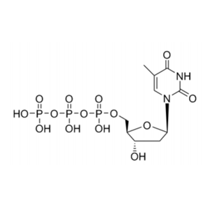 脱氧胸苷三磷酸