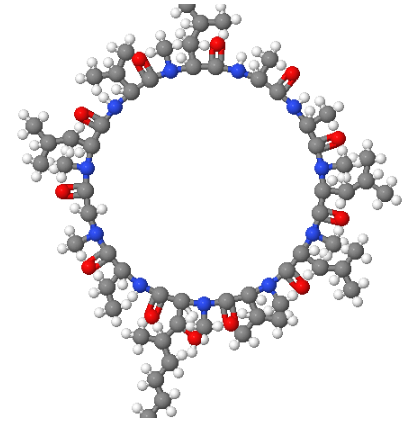 二氢环孢菌素A,DIHYDROCYCLOSPORIN A