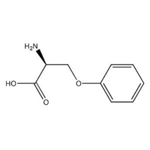 （S）-2-氨基-3-苯氧基丙酸