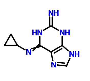 2-氨基-6-环丙基氨基-9H-嘌呤,2-Amino-6-cyclopropylamino-9H-purine
