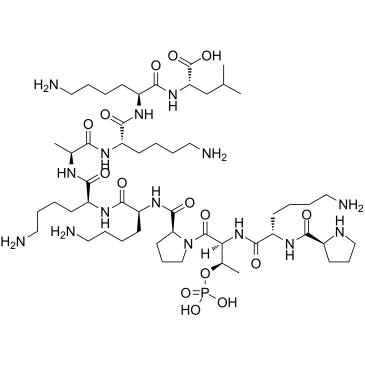 [pThr3]-CDK5 Substrate,PK-{pTHR}-PKKAKKL