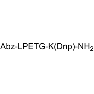 Abz-LPETG-K(Dnp)-NH2