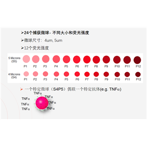 流式多因子檢測試劑盒支持定制