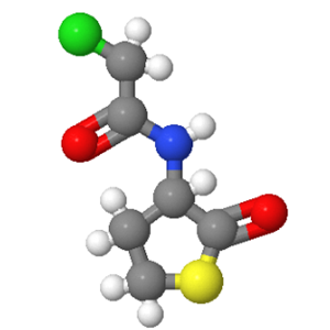 3-氯乙酰氧基-2-氧基-四氢噻吩,N-CHLOROACETYL-DL-HOMOCYSTEINE THIOLACTONE