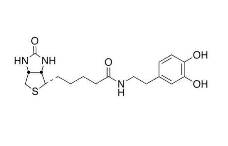 N-Biotinyl Dopamine,N-Biotinyl Dopamine