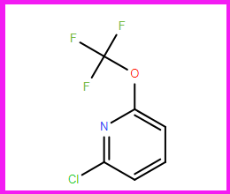 2-氯-6-三氟甲氧基吡啶,2-Chloro-6-(trifluoroMethoxy)pyridine