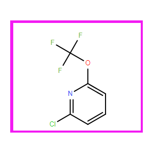 2-氯-6-三氟甲氧基吡啶,2-Chloro-6-(trifluoroMethoxy)pyridine