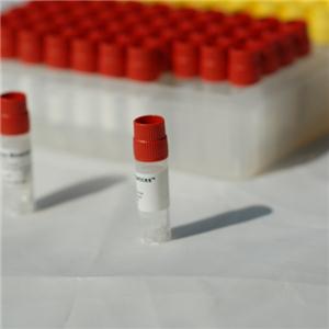 空白ICR（CD-1）小鼠血浆