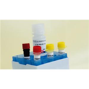 酶抑制（IC50）研究试剂盒（7种特异性底物）
