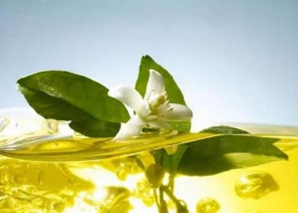 橙花精油,NEROLI OIL