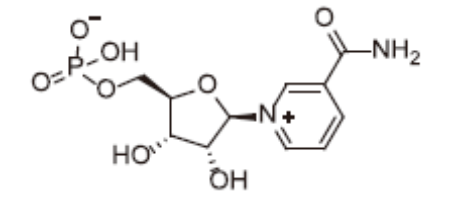 β-煙酰胺單核苷酸,β-Nicotinamide Mononucleotide