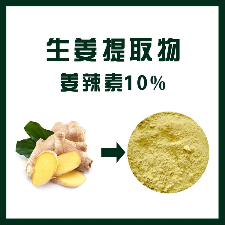生姜提取物,ginger extract