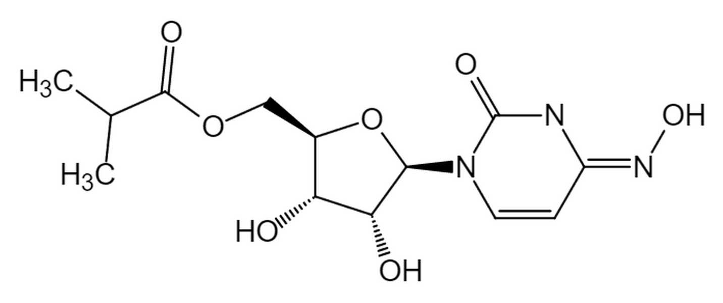 EIDD-2801,EIDD-2801