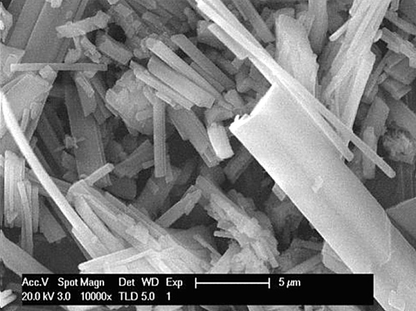 氮化硼晶须,Boron Nitride Whiskers