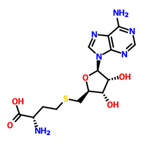 S-(5'-腺苷)-L-高半胱氨酸
