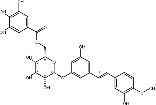 土大黄苷 6′′-O-没食子酸酯,Rhaponticin 6′′-O-gallate;6′′-Galloylrhaponticin