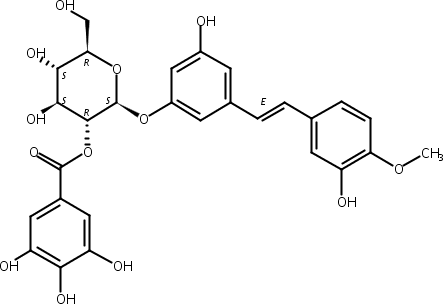 土大黄苷 2′′-O-没食子酸酯,Rhaponticin 2′′-O-gallate
