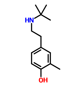 4-叔丁基氨基-2-甲基苯酚,4-tert-ButylaMinoethyl-2-Methylphenol