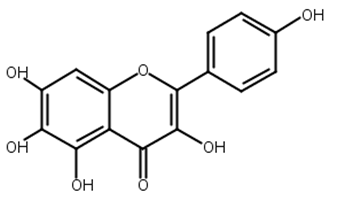 6-羥基山奈酚,6-Hydroxykaempferol