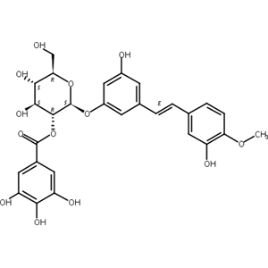 土大黄苷 2′′-O-没食子酸酯