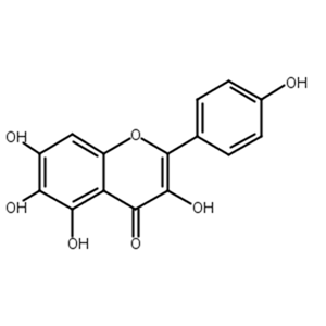 6-羟基山奈酚