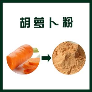 胡萝卜粉,Carrot powder