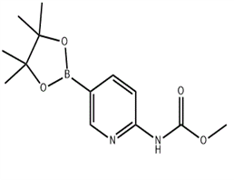 2-Methoxycarbonylaminopyridine-5-boronic acid, pinacol ester