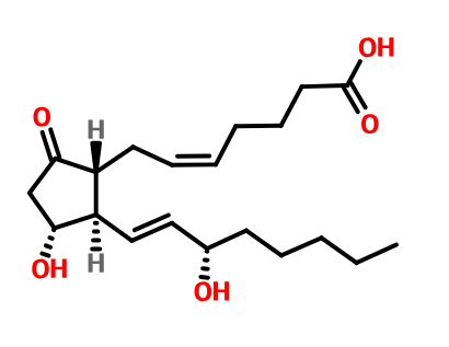 地诺前列酮,Prostaglandin E2