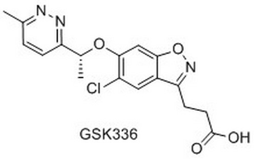 GSK336,GSK336