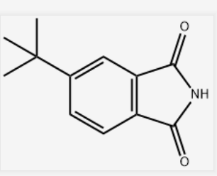 5-叔丁基异吲哚-1,3-二酮,5-tert-butylisoindoline-1,3-dione