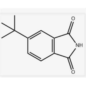 5-叔丁基异吲哚-1,3-二酮,5-tert-butylisoindoline-1,3-dione