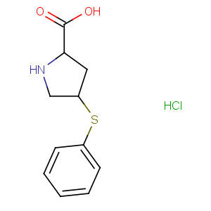 顺式-4-苯硫基-L-脯氨酸盐酸盐,cis-4-Phenylthio-L-proline hydrochloride
