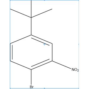 1-溴-4-叔丁基-2-硝基苯,1-bromo-4-tert-butyl-2-nitrobenzene