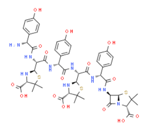 AMoxicillin TriMer,AMoxicillin TriMer