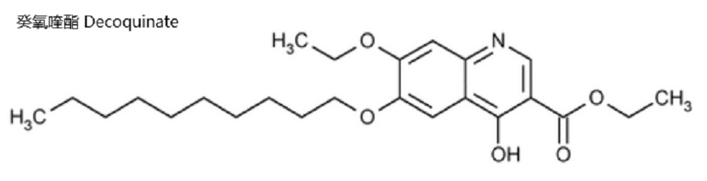 癸氧喹酯,Decoquinate