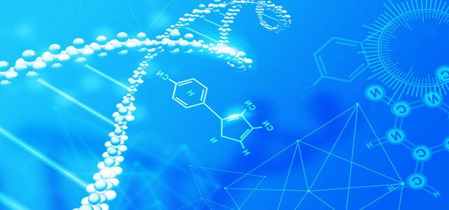 CRP抗體,CRP antibody