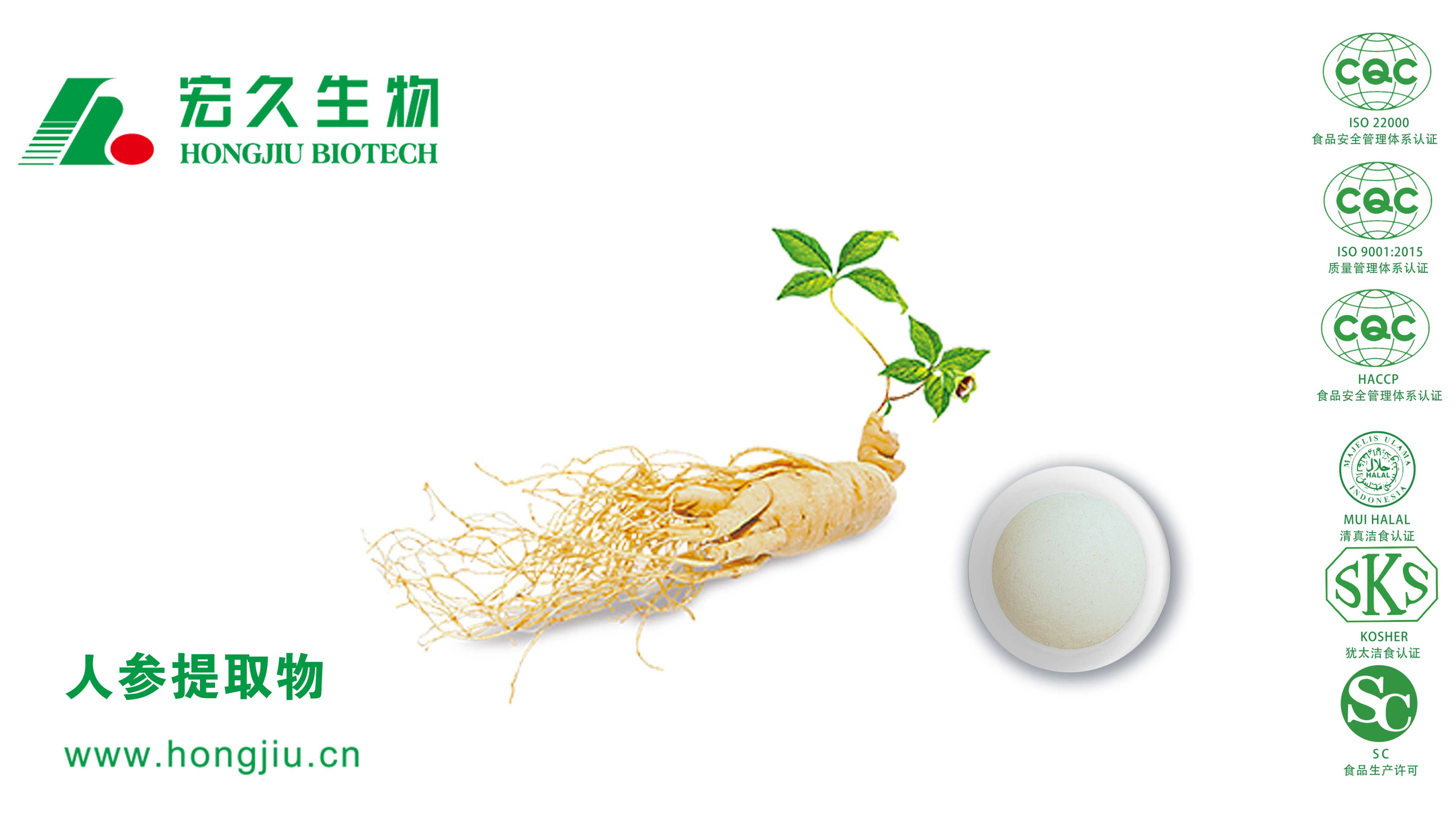 人参提取物,GINSENG EXTRACT POWDER