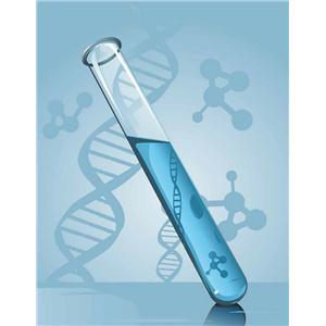 PCT抗體,PCT antibody