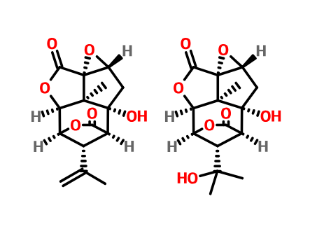 胡椒堿,Piperine