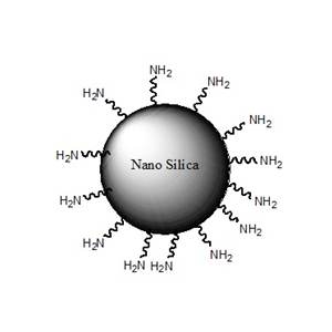 氨基二氧化硅纳米粒子