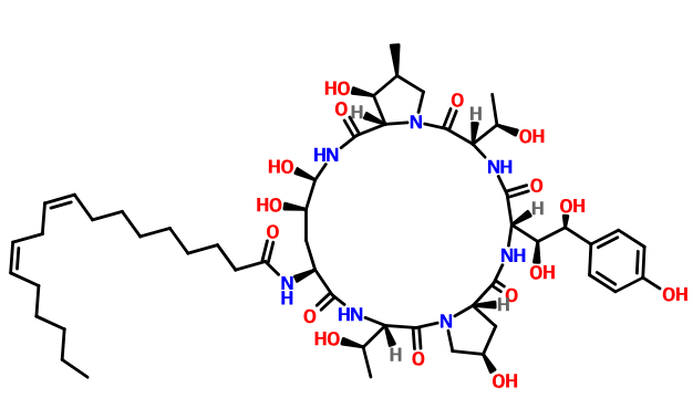 棘白菌素B,Echinocandin B