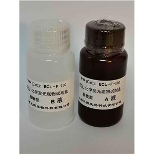 极敏型 ECL化学发光底物试剂盒,Ultra-sensitive Enhanced Chemiluminescence Substrate Kit